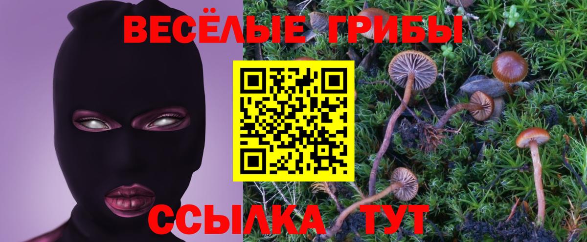 Псилоцибиновые грибы Psilocybe  Вход с VPN  Георгиевск 