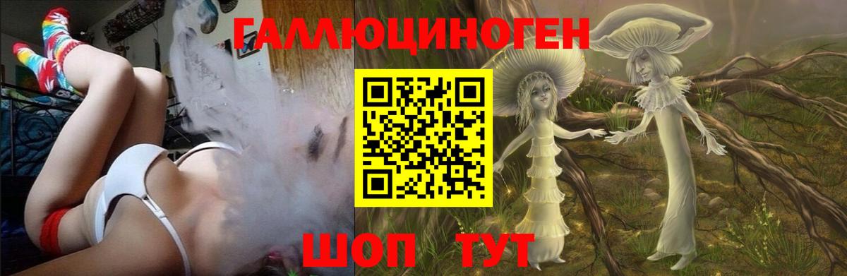 Псилоцибиновые грибы Psilocybine cubensis Георгиевск
