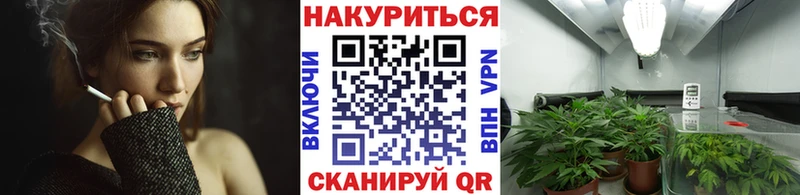 Канабис THC 21%  Георгиевск 