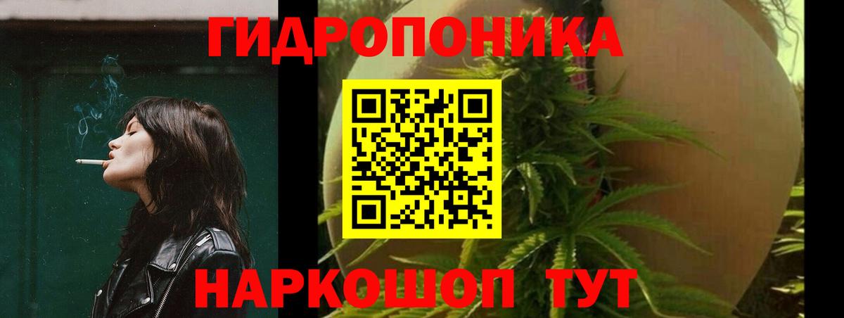 Георгиевск  Конопля гибрид  Вход с VPN  Марихуана план 